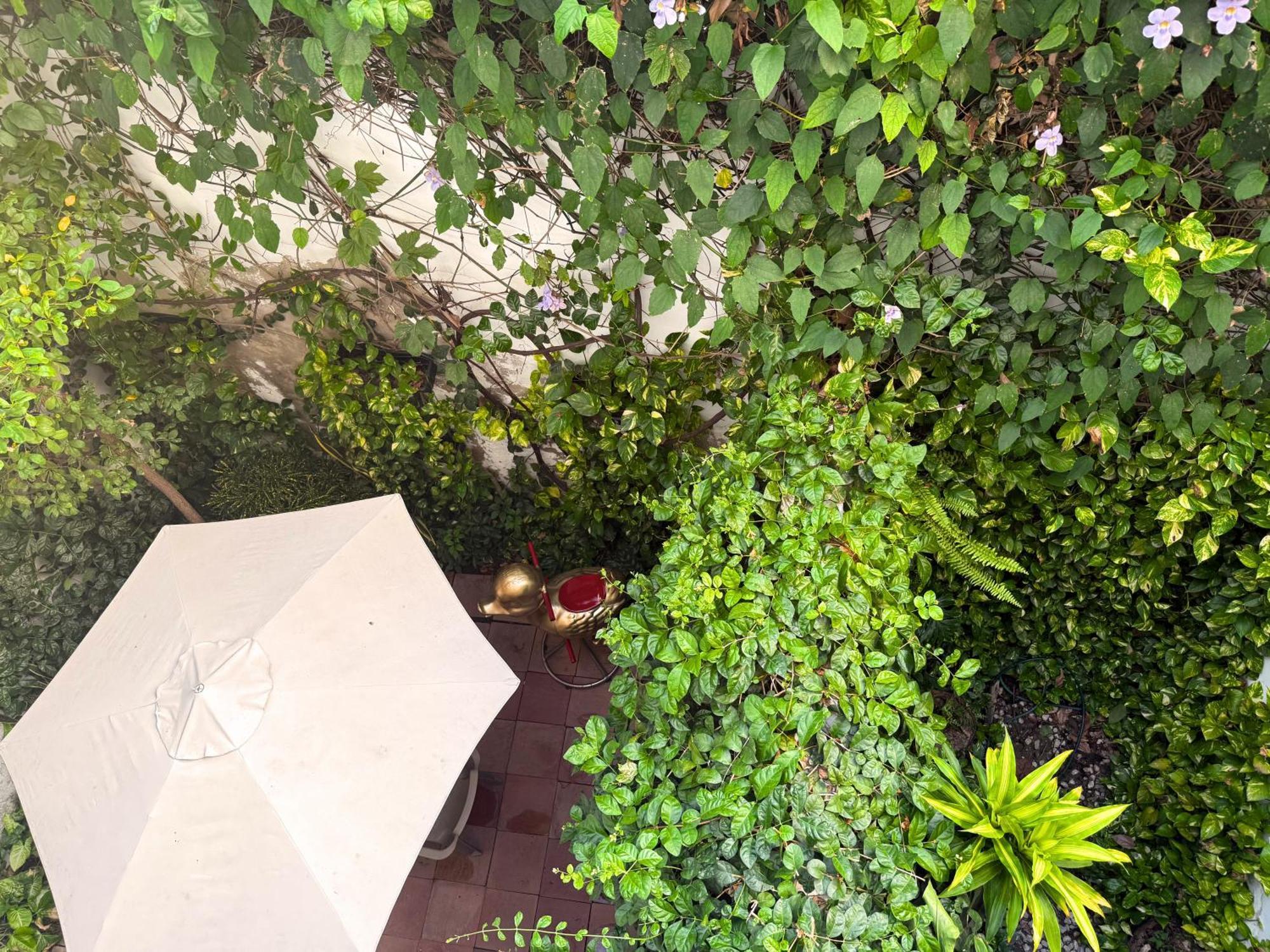Casa Bugambilia - Alma Hotels, Santa Marta